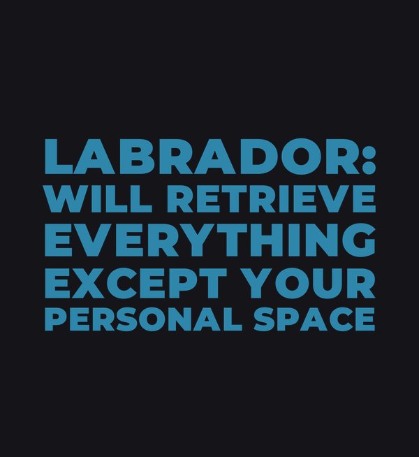 Will Retrieve Everything Except Your Personal Space
